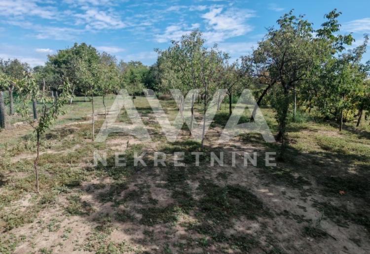 Apatin. Prizemna kuća 161m2, plac 20ar