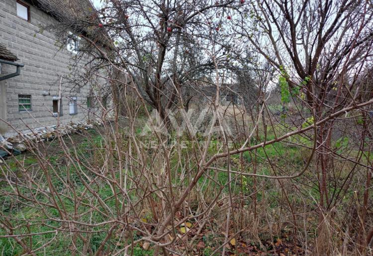 Apatin. Prizemna kuća 75m2, plac 805m2