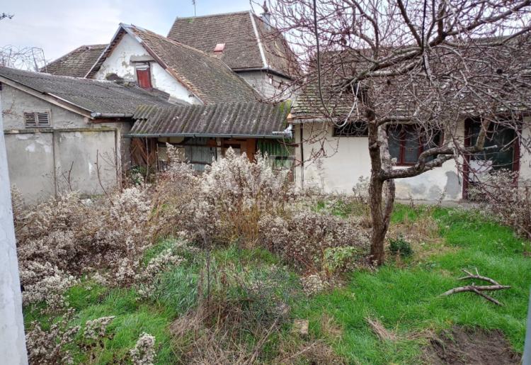 Apatin. Prizemna kuća 75m2, plac 805m2