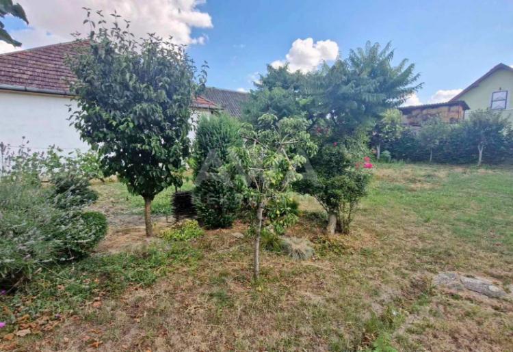 Sonta, Kuća 175 m2, na placu od 705 m2