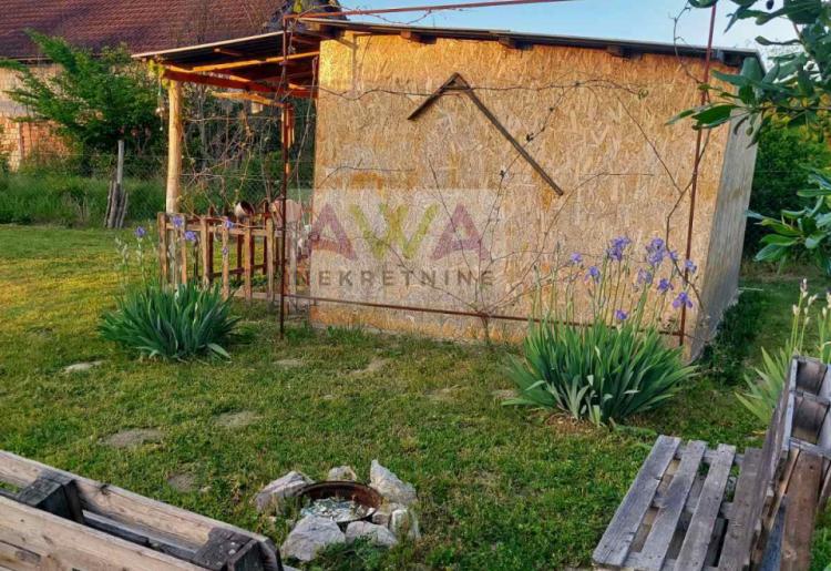 Kupusina – Mlad šljivik 6. godina, ograđen plac sa bunarom i sistemom kap po kap
