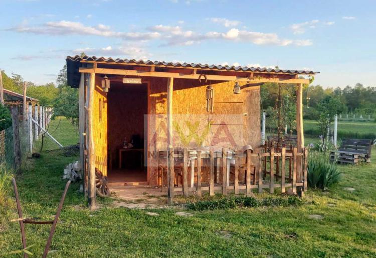 Kupusina – Mlad šljivik 6. godina, ograđen plac sa bunarom i sistemom kap po kap