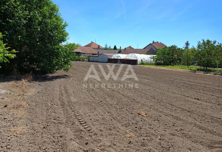 Veliki plac sa kućom za renoviranje ili rušenje, Kupusina – 186 m² (plac 20.14 ari)