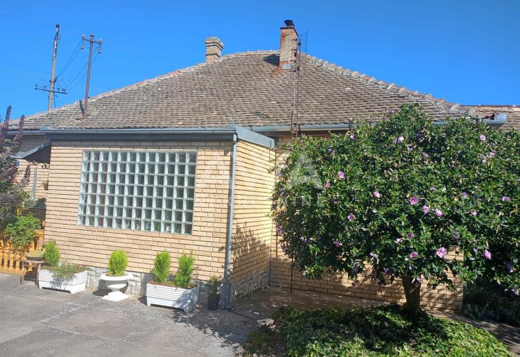 Sonta. Prizemna kuća 100m² na placu od 45,8 ari sa pomoćnim stanom