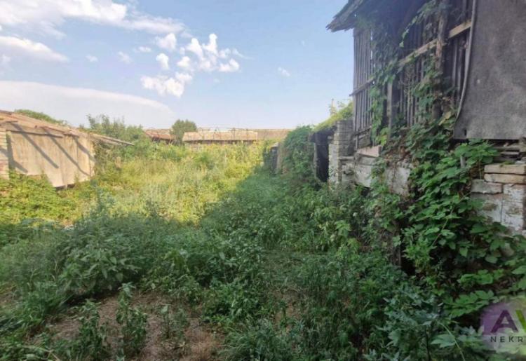 Kupusina kuća 163m2, plac 5.5ar