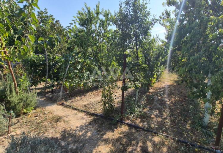 Sonta – Kuća 115 m² sa termoizolacijom i placem od 1.194 m² 
