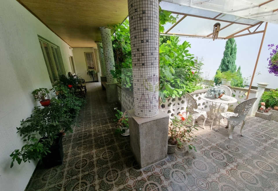 Apatin, kuća 234m2, plac 4ar, glavni put
