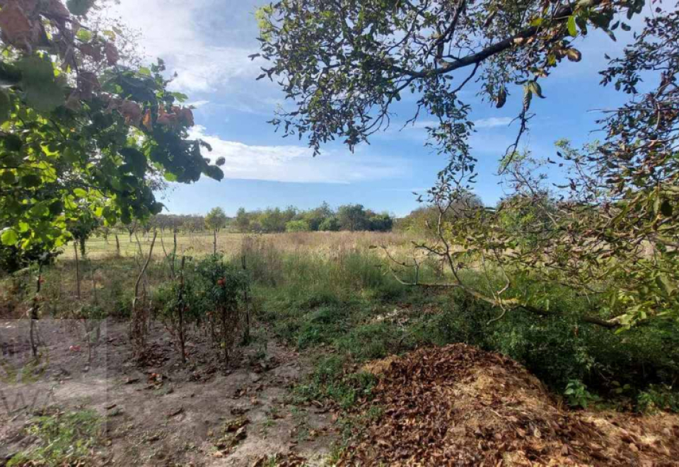 Apatin kuća sa dva stana, u širem centru na placu od 3070 m2