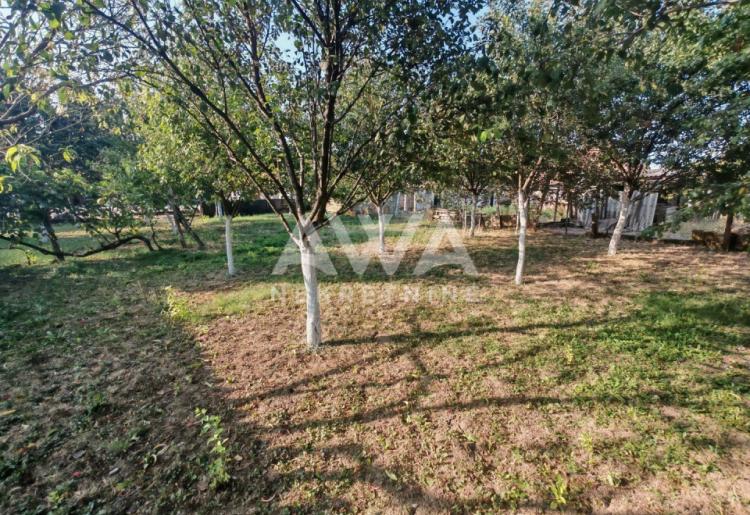 Sonta. Prizemna, renovirana, nameštena 126m2, plac 12ar