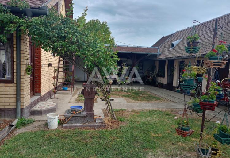 Apatin. Prizemna kuća 195m2, plac 43ar