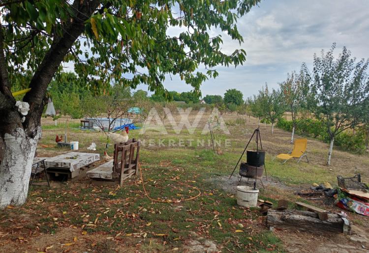 Apatin. Prizemna kuća 195m2, plac 43ar